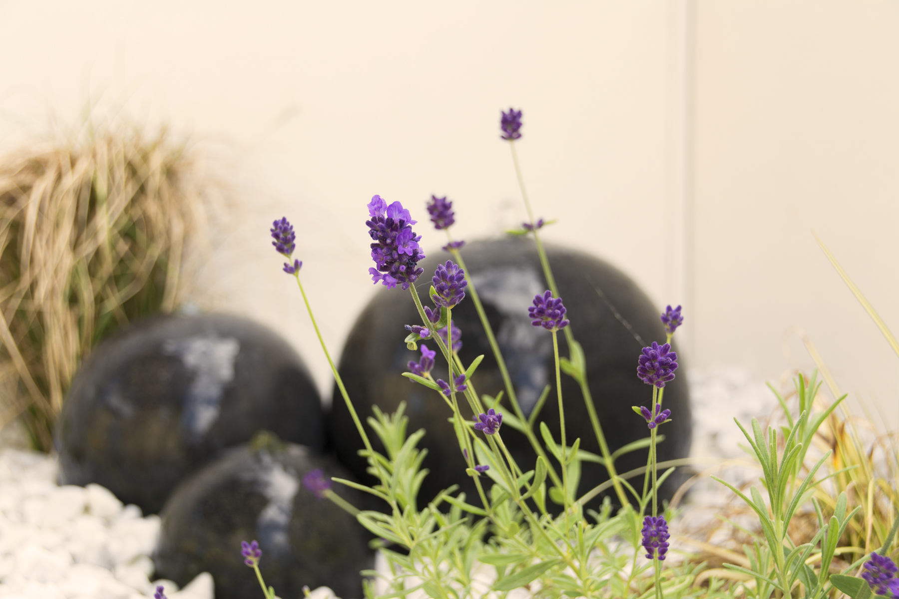 Wellness Auszeit in Dagebüll — Bild 10