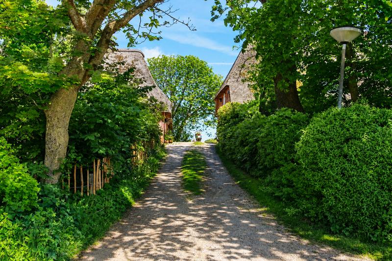 Nordfriesische Auszeit unter Reet — Bild 14