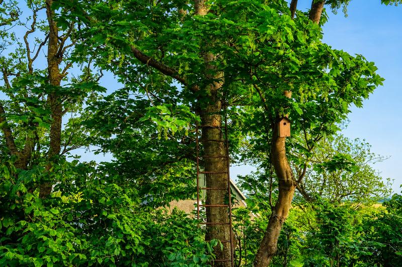 Nordfriesische Auszeit unter Reet — Bild 18
