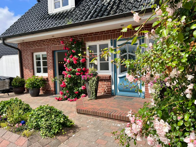 Fasten an der Nordsee: Ein Reset für deinen Körper — Bild 13
