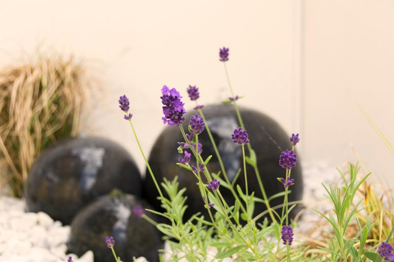 Longevity Auszeit in Dagebüll — Bild 10